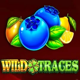Wild Traces online game logo by Amusnet Interactive on winzcasinoo.com